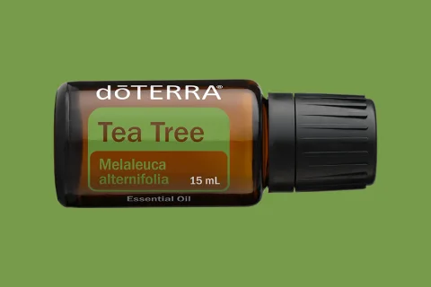 Tea Tree essential oil bottle